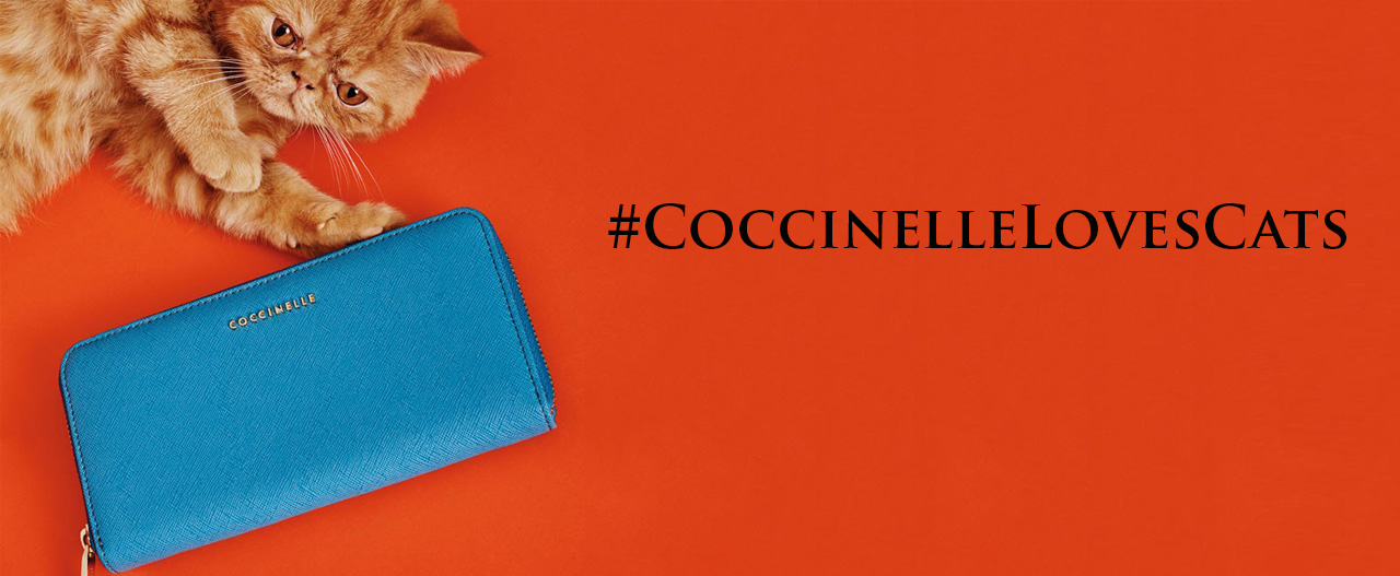 Coccinelle- най-новата марка в магазини Scandal