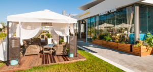 Scadnal Lounge Cafe   с реновирана лятна градина