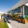 Scandal Lounge Cafe with renovated summer garden
