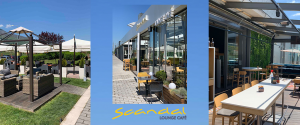 Scandal Lounge Cafe is open for you again!